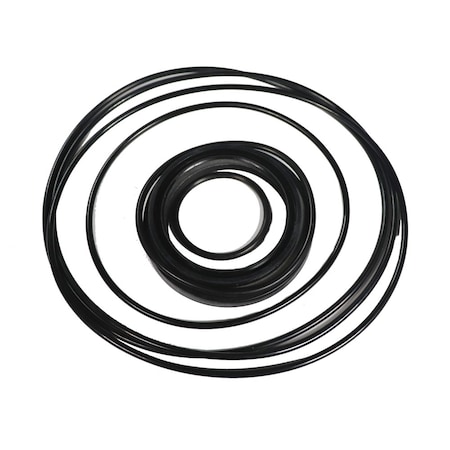 Chief Dynamic BMSY Motor with Seal Kit 272400